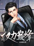 权力巅峰txt完整版