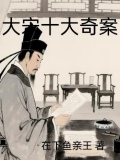 大宋奇案的